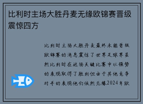 比利时主场大胜丹麦无缘欧锦赛晋级震惊四方
