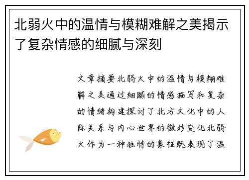 北弱火中的温情与模糊难解之美揭示了复杂情感的细腻与深刻